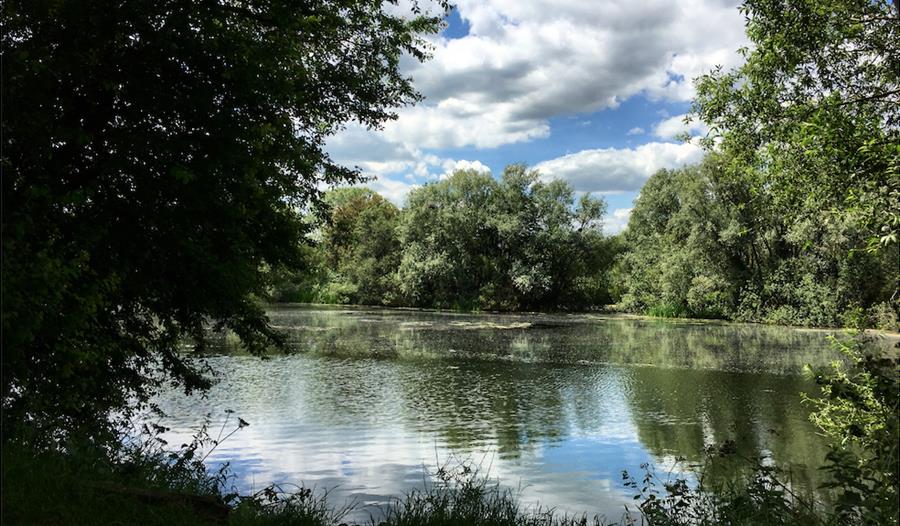 Priory Country Park Experience Bedfordshire